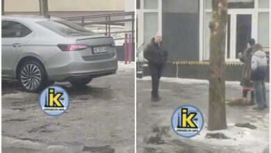 Водій збив собаку біля Нової Пошти в Корабельному районі Миколаєва