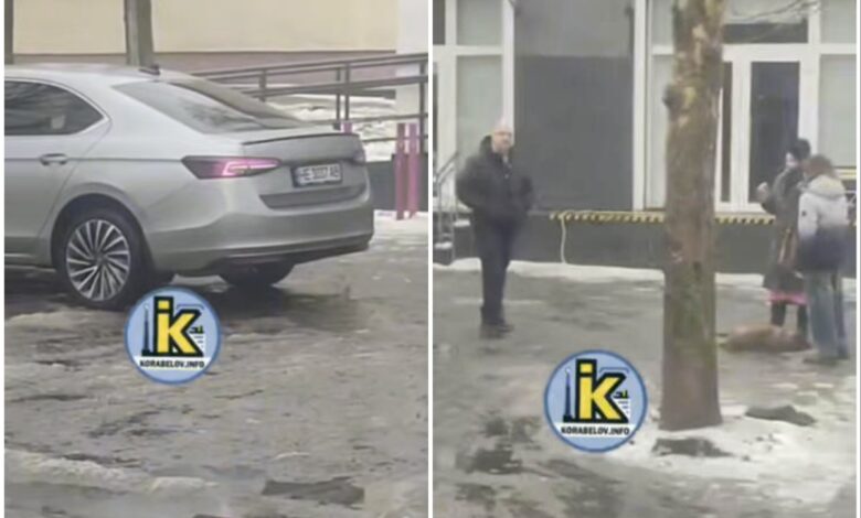 Водій збив собаку біля Нової Пошти в Корабельному районі Миколаєва